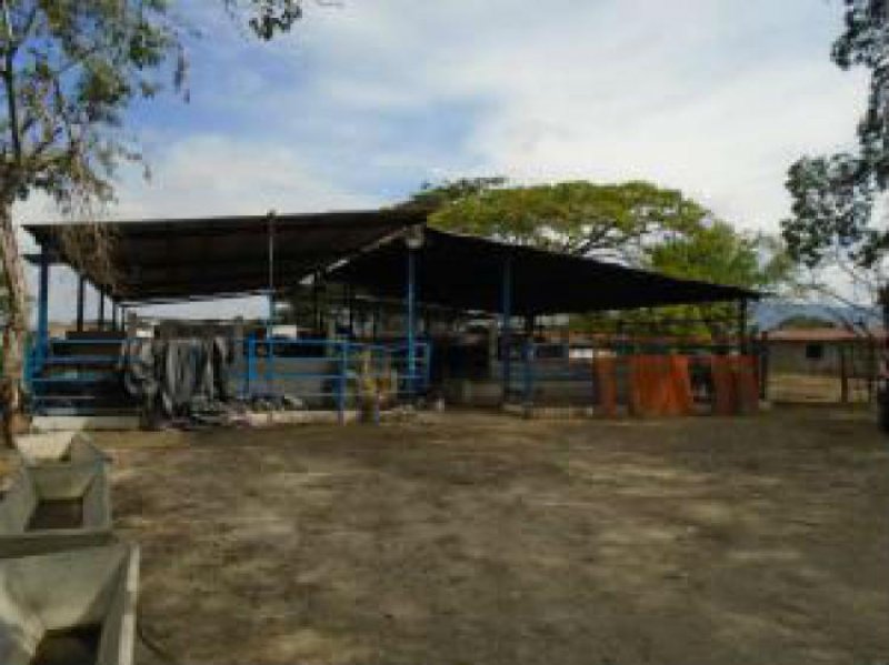 Foto Terreno en Venta en Cabudare, Lara - BsF 45.000.000 - TEV80900 - BienesOnLine