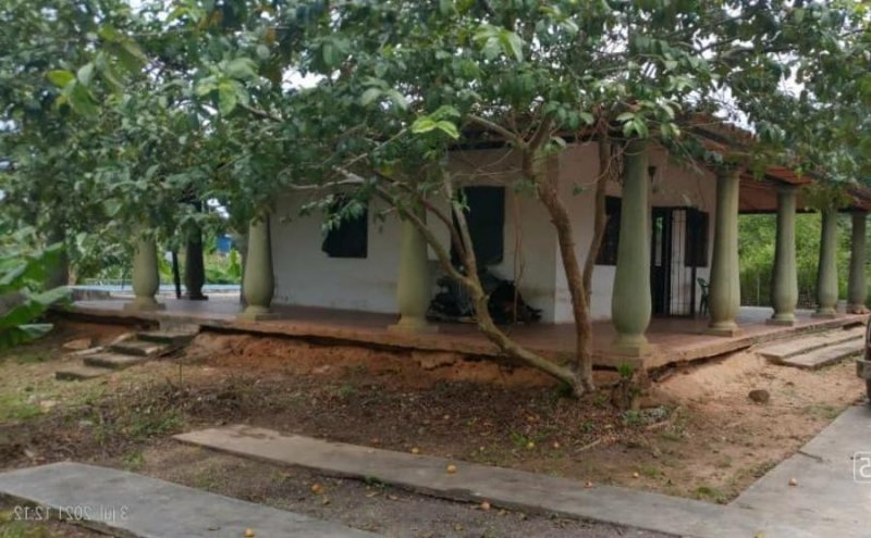 Foto Casa en Venta en Sabaneta Norte, Montalbán, Carabobo - U$D 16.000 - CAV154033 - BienesOnLine