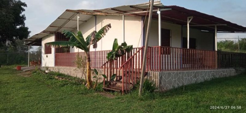 Casa en Venta en La Mata, cuatro caminos Cúa, Miranda