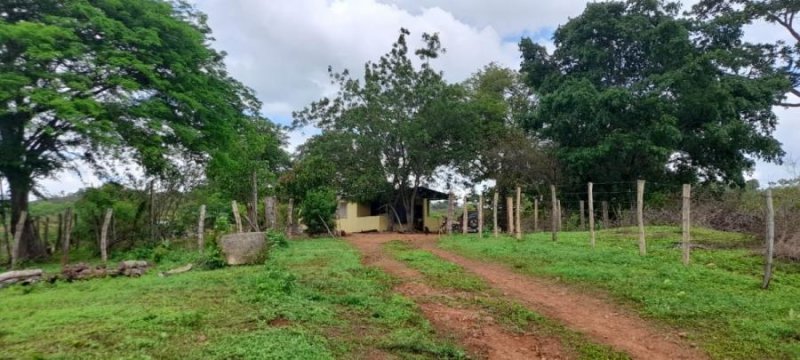 Foto Finca en Venta en ortiz, Ortiz, Guárico - 20 hectareas - U$D 15.000 - FIV210367 - BienesOnLine