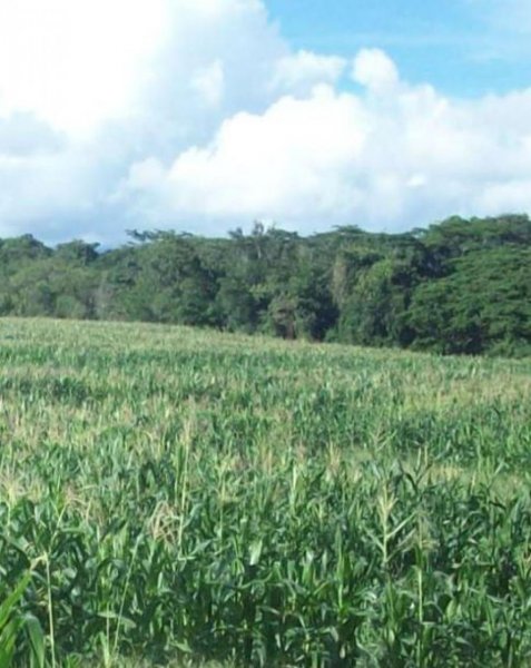 Hacienda en Venta en Urdaneta camatagua, Aragua