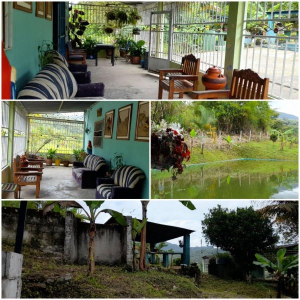 Finca en Venta en Cordoba Santa Ana de Táchira, Táchira