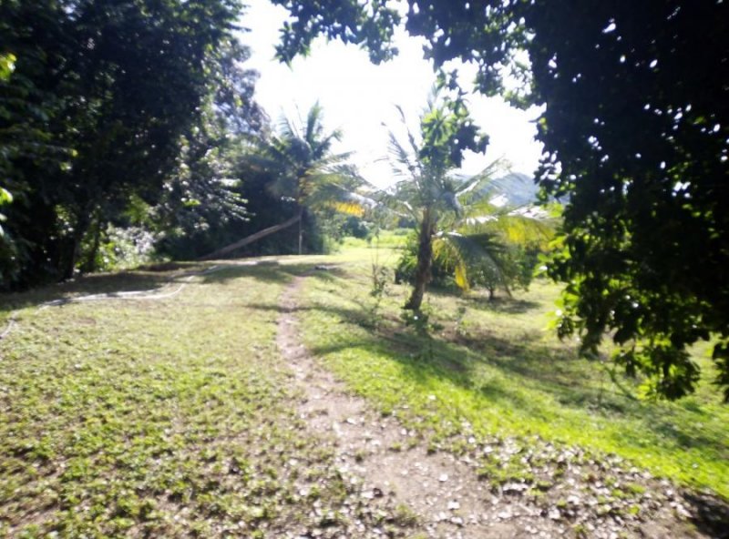 Terreno en Venta en  Santa Cruz, Aragua