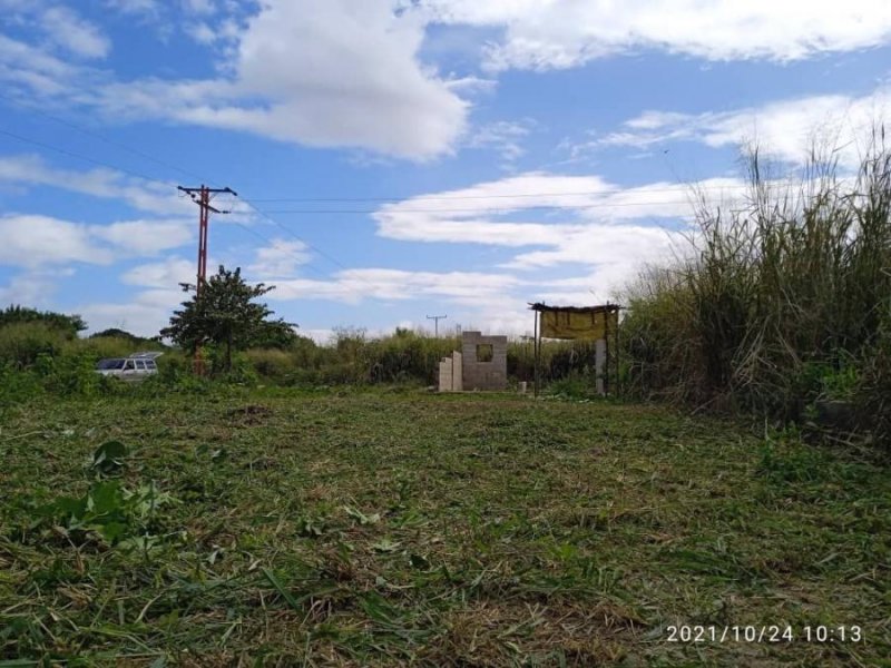 Foto Terreno en Venta en Lamas, Frente al liceo Carlos Ramón Aponte, Aragua - TEV159227 - BienesOnLine