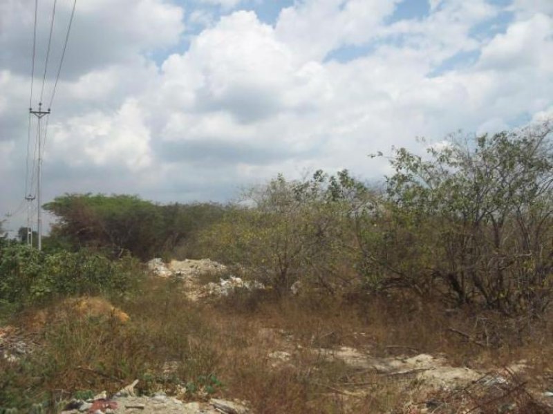 Foto Terreno en Venta en Cabudare, Lara - BsF 20.000.000 - TEV78471 - BienesOnLine