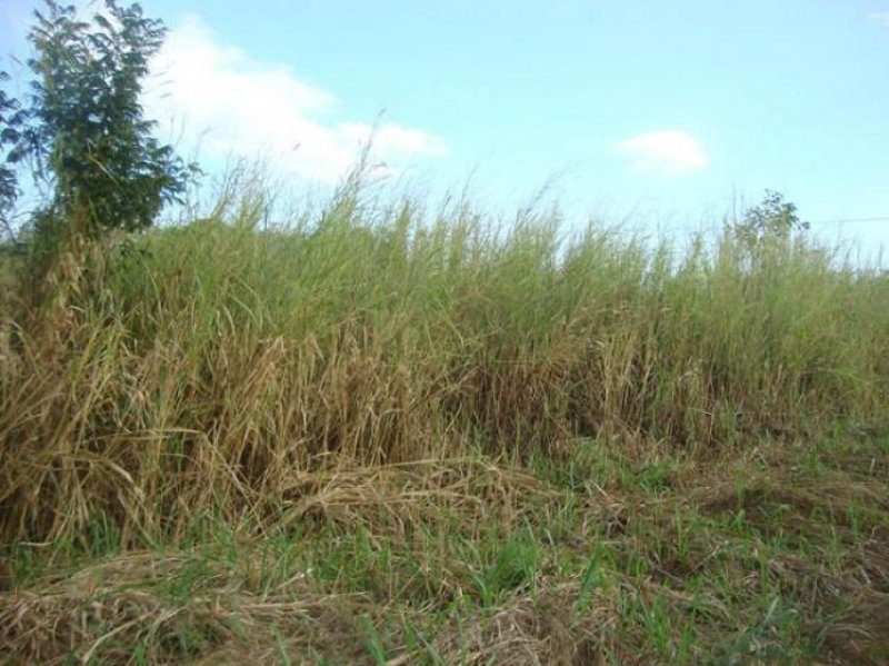 Foto Terreno en Venta en Cabudare, Lara - BsF 6.000.000 - TEV78061 - BienesOnLine