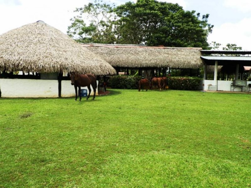 VENTA FINCA AGROTURISTICA BARINAS