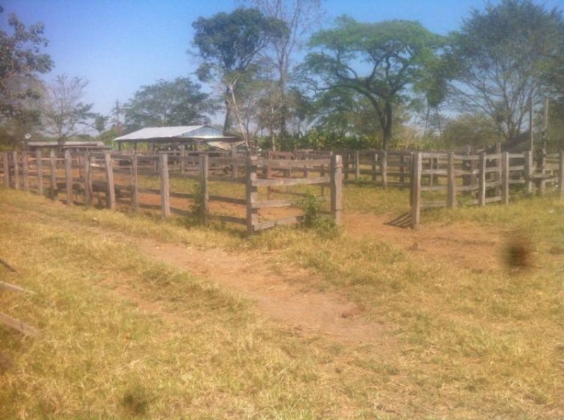 Foto Finca en Venta en SANTA LUCIA SECTOR JACOA, Barinas, Barinas - 123 hectareas - BsF 369.000.000 - FIV99636 - BienesOnLine