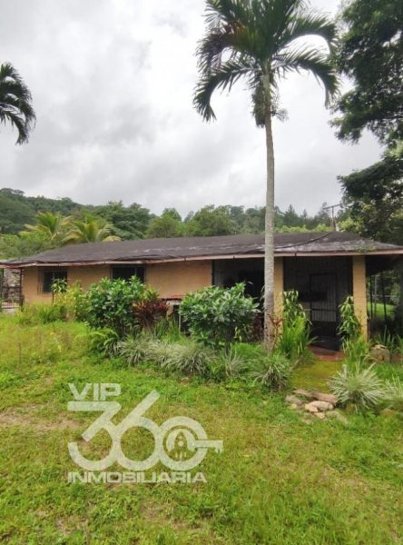 Foto Finca en Venta en Canoabo, Carabobo - 17000 hectareas - U$D 38.000 - FIV231479 - BienesOnLine