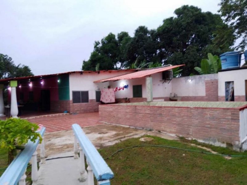 Finca en Venta en Libertador Valencia, Carabobo