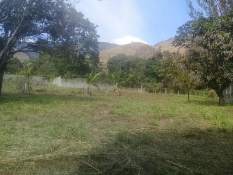 Terreno en Venta en Naguanagua Naguanagua, Carabobo