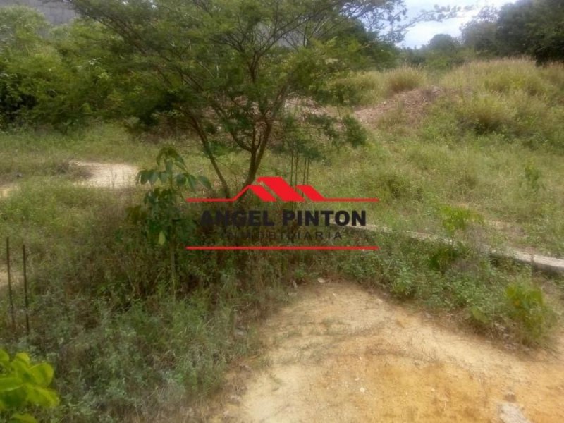 Foto Terreno en Venta en Cabudare, Cabudare, Lara - U$D 1.000 - TEV126014 - BienesOnLine