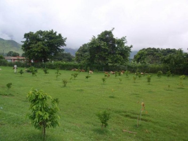 Foto Terreno en Venta en Sector Zuata, La Victoria, Aragua - BsF 1.500.000 - TEV24953 - BienesOnLine